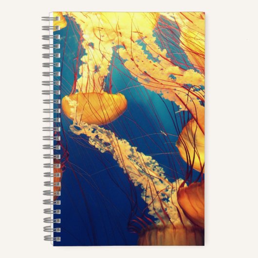 5,5" x 8,5" spiraal notitieboek (Voorkant)