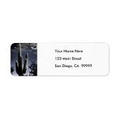 5 Armed Desert Saguaro in het Moonlight Etiket (Voorkant)