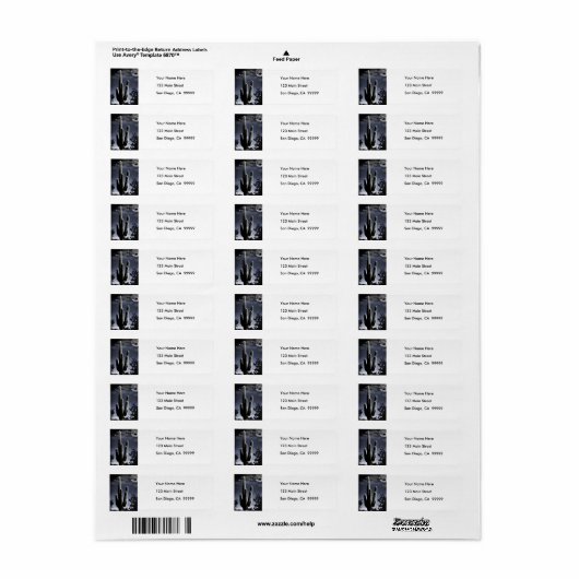 5 Armed Desert Saguaro in het Moonlight Etiket (Full Sheet)