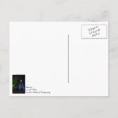 5 artikel SDC - structuur - nacht Briefkaart (Achterkant)