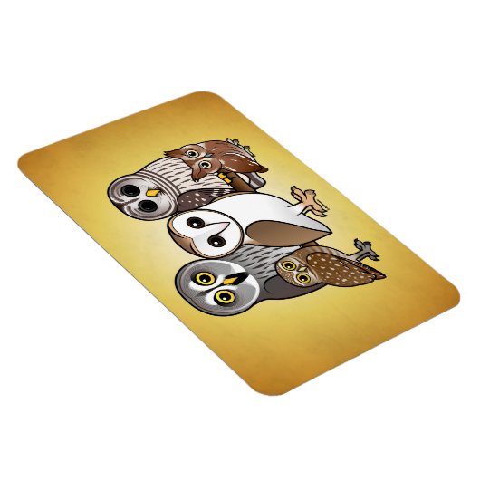 5 Baarbare eigenaar Magneet (Rechterzijde)