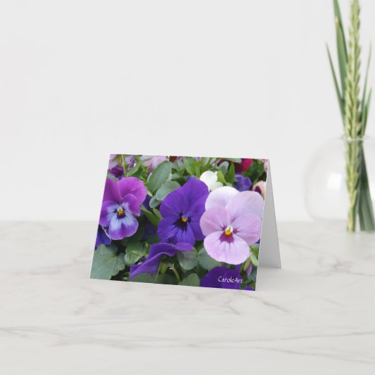 5 Blauwe Paarse lavender Pansies Kaart (Voorkant)