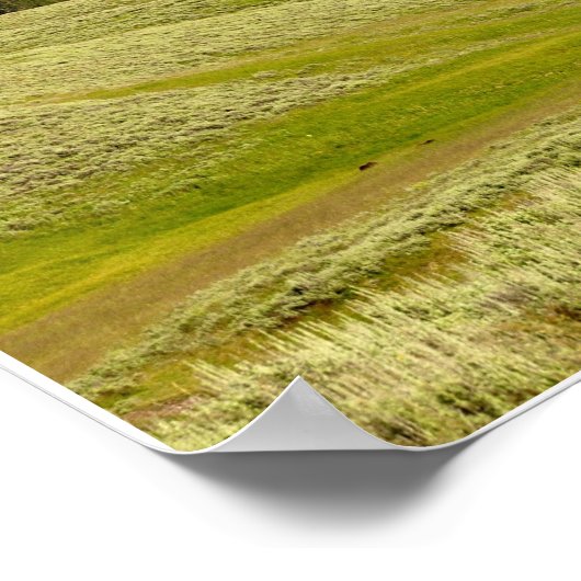 5 BLUEGRASS BAND POSTER (Hoek)