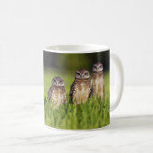5 Burrowing Owls Athene Cunicularia Koffiemok (Voorkant rechts)