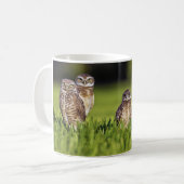5 Burrowing Owls Athene Cunicularia Koffiemok (Voorkant links)