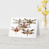 5 Dragonvliegen Kaart (Gele Bloem)