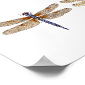 5 Dragonvliegen Poster (Hoek)