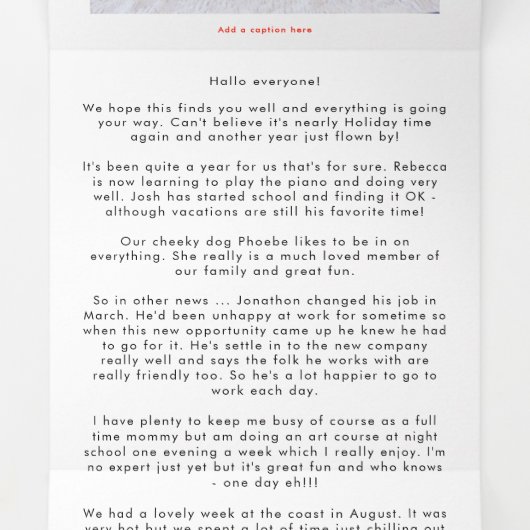 5 Foto jaar in Uitzicht feestelijke nieuwsbrief Fl Drieluik Wenskaart (Binnenkant midden)