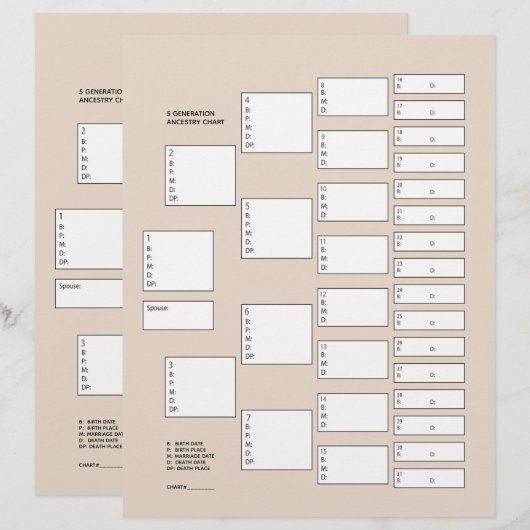 5 Generation Genealogie Pedigree Paper Sheet (Voorkant / Achterkant)