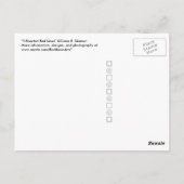 5 gesplitste rode strepen briefkaart (Achterkant)