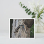 5 gestreepte roze briefkaart (Staand voorkant)