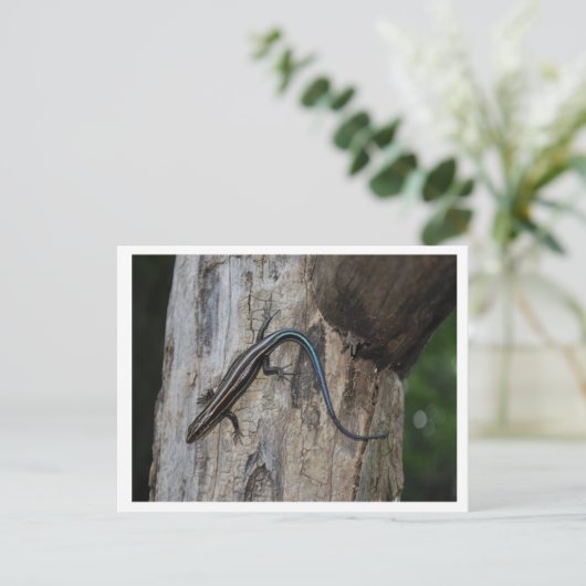 5 gestreepte roze briefkaart (Staand voorkant)