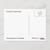 5 gestreepte roze briefkaart (Achterkant)