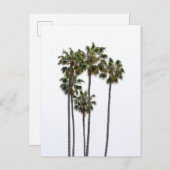 5 handpalmen Briefkaart (Voorkant / Achterkant)