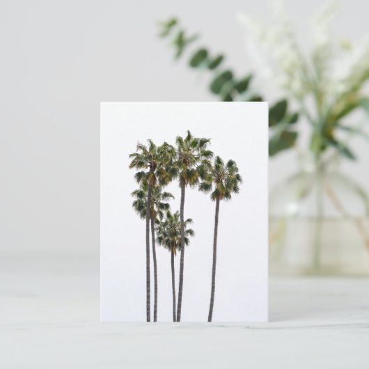 5 handpalmen Briefkaart (Staand voorkant)