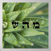 5 Healing - 72 Namen van God Poster (Voorkant)