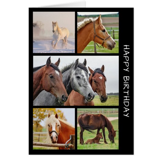 5 HORSE Foto van Birthday Collage Birthday Kaart (Voorkant)