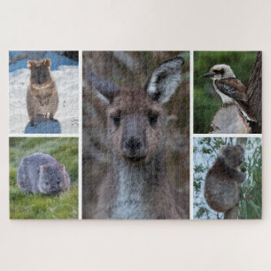 5-in-1 Dieren uit Australië, 1014 stuks Legpuzzel