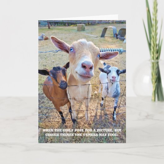 5-inch x7-inch gevouwen kaart || Focus op levensmi (Voorkant)