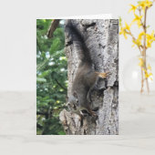 5-inch x7-inch gevouwen kaart || Fotoverf Boerderi (Gele Bloem)