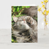 5-inch x7-inch gevouwen kaart | | Graniet Cat Nap (Gele Bloem)