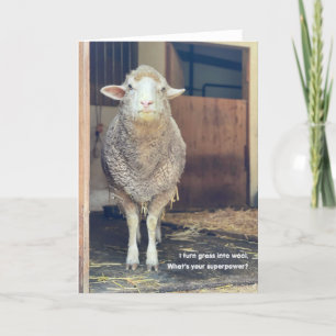 5-inch x7-inch gevouwen kaart    Marshmallow