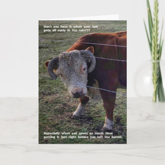 5-inch x7-inch gevouwen kaart || Popeye Morning "D (Voorkant)