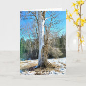 5-inch x7-inch gevouwen kaart || Sunny Cottonwood (Gele Bloem)