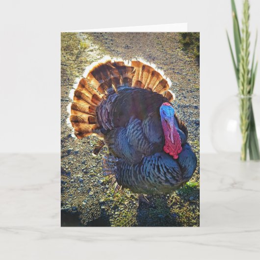 5-inch x7-inch gevouwen kaart || Sunrise Thomas (Voorkant)