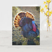 5-inch x7-inch gevouwen kaart || Sunrise Thomas (Gele Bloem)