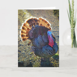 5-inch x7-inch gevouwen kaart || Sunrise Thomas