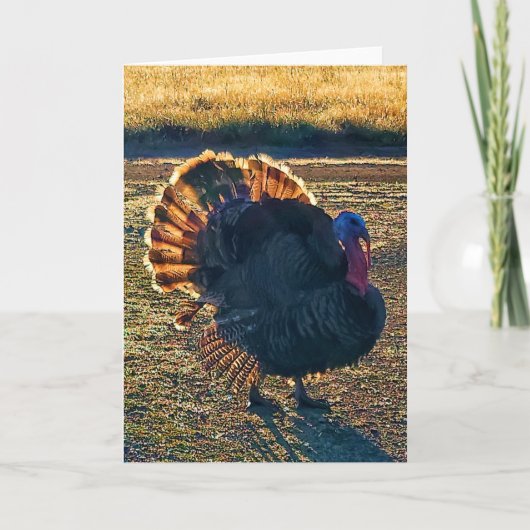 5-inch x7-inch gevouwen kaart || Thomas a-Struttin (Voorkant)