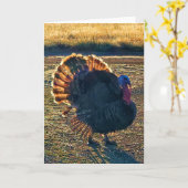 5-inch x7-inch gevouwen kaart || Thomas a-Struttin (Gele Bloem)