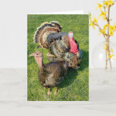 5-inch x7-inch gevouwen kaart || Thomas en Henriet (Gele Bloem)