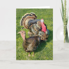 5-inch x7-inch gevouwen kaart || Thomas en Henriet