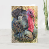 5-inch x7-inch gevouwen kaart || Thomas in de Stra (Voorkant)