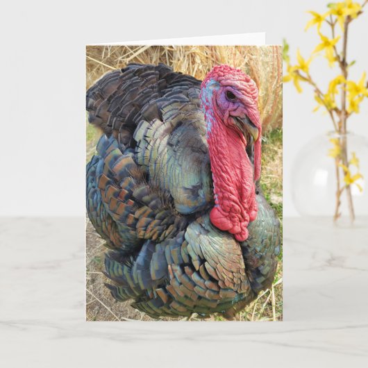 5-inch x7-inch gevouwen kaart || Thomas in de Stra (Gele Bloem)