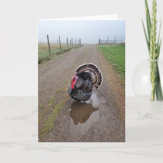 5-inch x7-inch gevouwen kaart || Turkije in de mis (Voorkant)