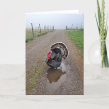 5-inch x7-inch gevouwen kaart || Turkije in de mis