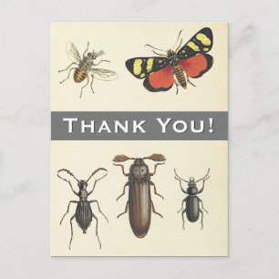 5 Insecten "Bedankt!" Briefkaart