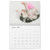 5 Kalender voor Silken Windhound-Puppies 2016 (Jan 2027)