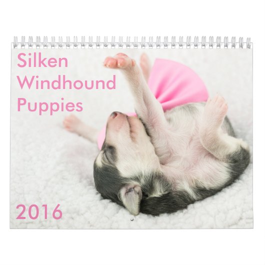 5 Kalender voor Silken Windhound-Puppies 2016 (Hoes)
