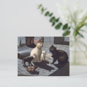 5 Katten met muziekvel zingend 's nachts op een da Briefkaart (Staand voorkant)