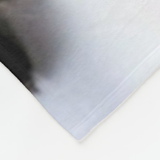 5 KLEINE KITTENS FLEECE DEKEN (Hoek)