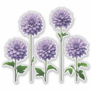 5 Lavendel Dahlia (helder) Sticker