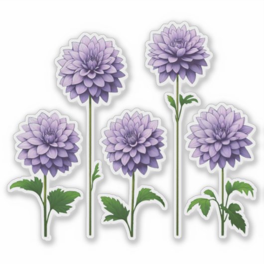 5 Lavendel Dahlia (helder) Sticker (Voorkant)