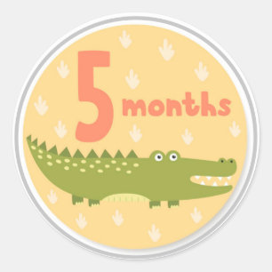 5 Maanden Baby Milestone Classic Ronde Sticker