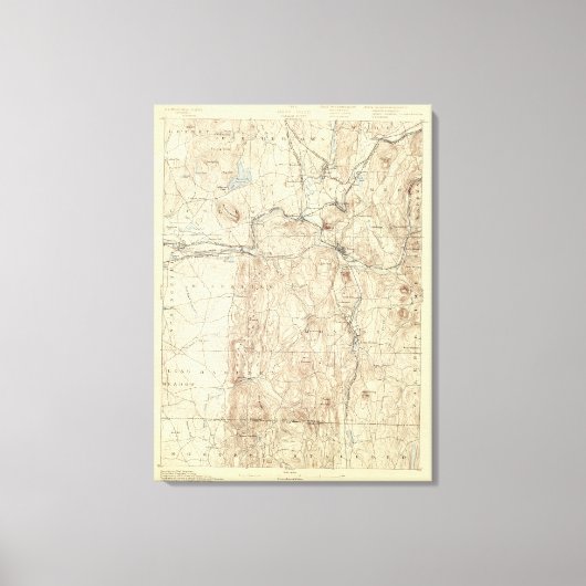 5 Palmerfolie Canvas Afdruk (Voorkant)