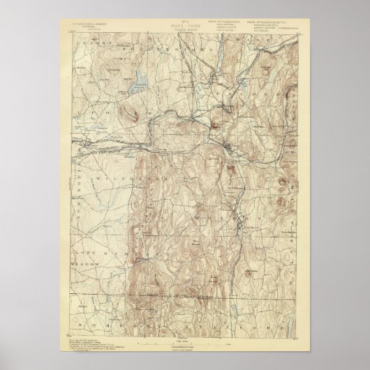 5 Palmerfolie Poster (Voorkant)