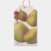 5  peren geïllustreerd cadeaulabel (Voorkant)